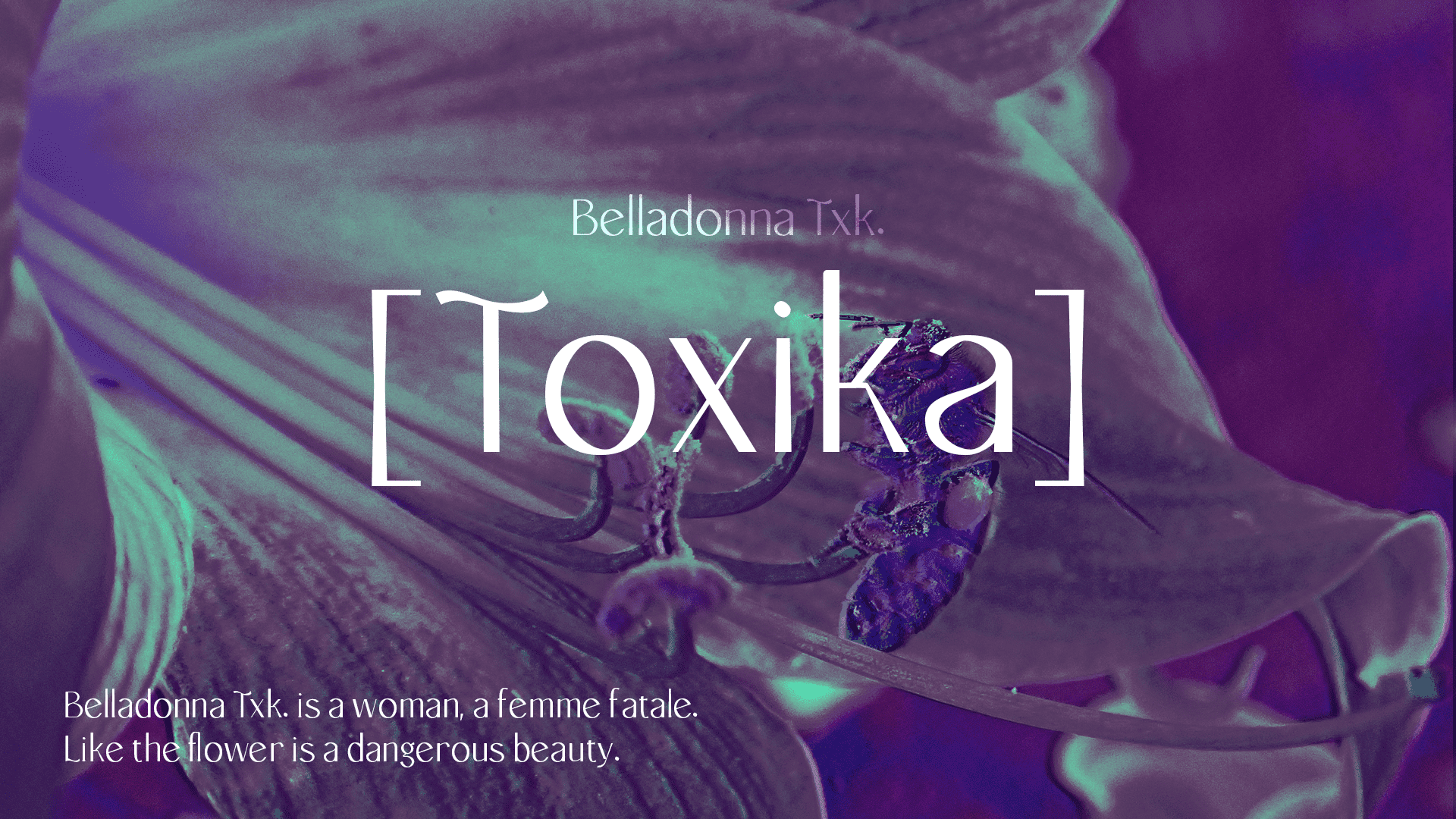 Galatea typeface examples architecture magazine