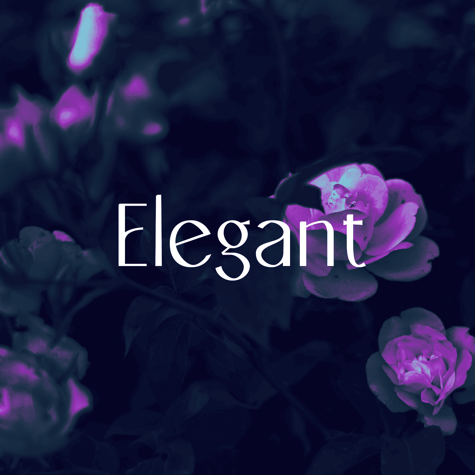 Galatea typeface examples architecture magazine