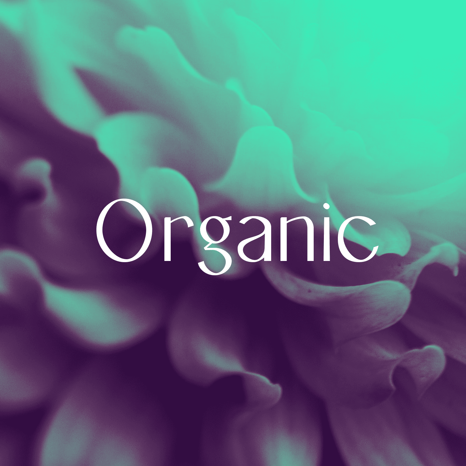 Galatea typeface examples architecture magazine